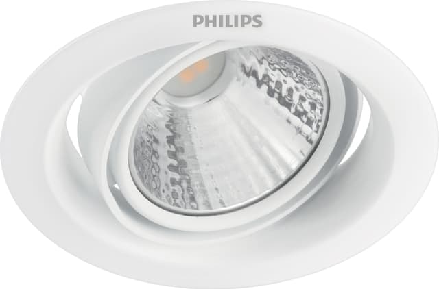 Philips Pomeron Ceiling valaisin 3 W