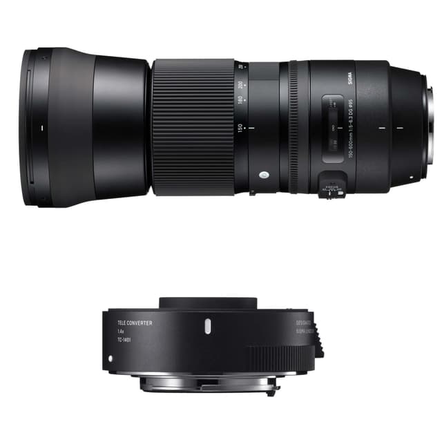 SIGMA AF 150-600 f/5-6.3 DG OS HSM Contemporary + TC-1401 NIK