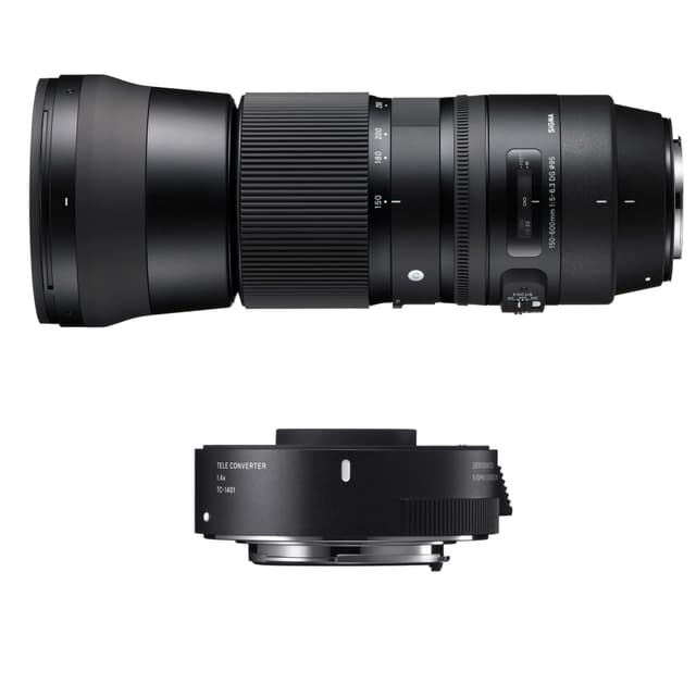 SIGMA AF 150-600 f/5-6.3 DG OS HSM Contemporary + TC-1401 EOS