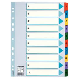 Kartonkirekisteri Esselte Mylar A4