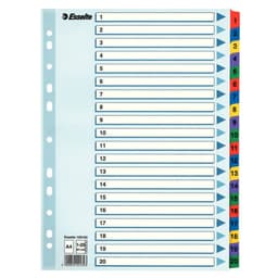 Kartonkirekisteri Esselte Mylar A4