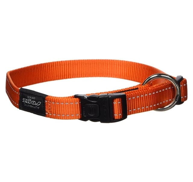 Koiran kaulapanta tuuletinvyö 20mm/34-56cm oranssi, Rogz