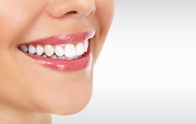 oral b pro 2400n