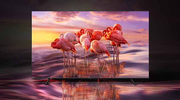 QLED-televisiossa on 100 % värivolyymi QLED-televisio ja flamingoja