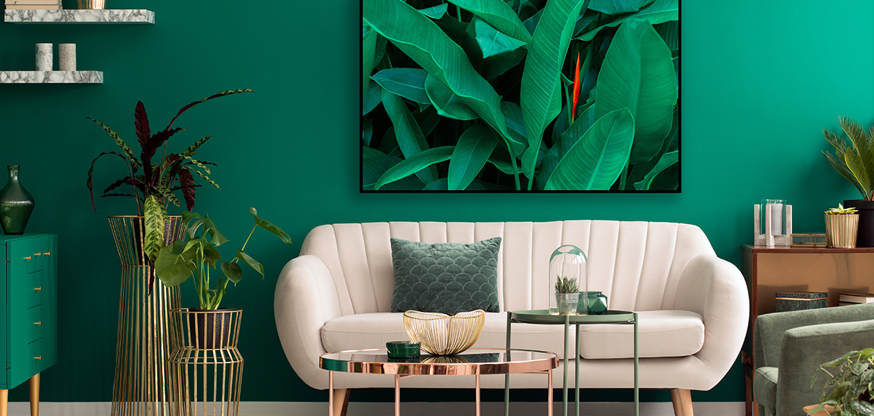 OLED-televisiossa on ohut ja näyttävä rakenne Valkoinen sohva vihreän seinän edessä. Sohvan yllä suuri OLED-TV.