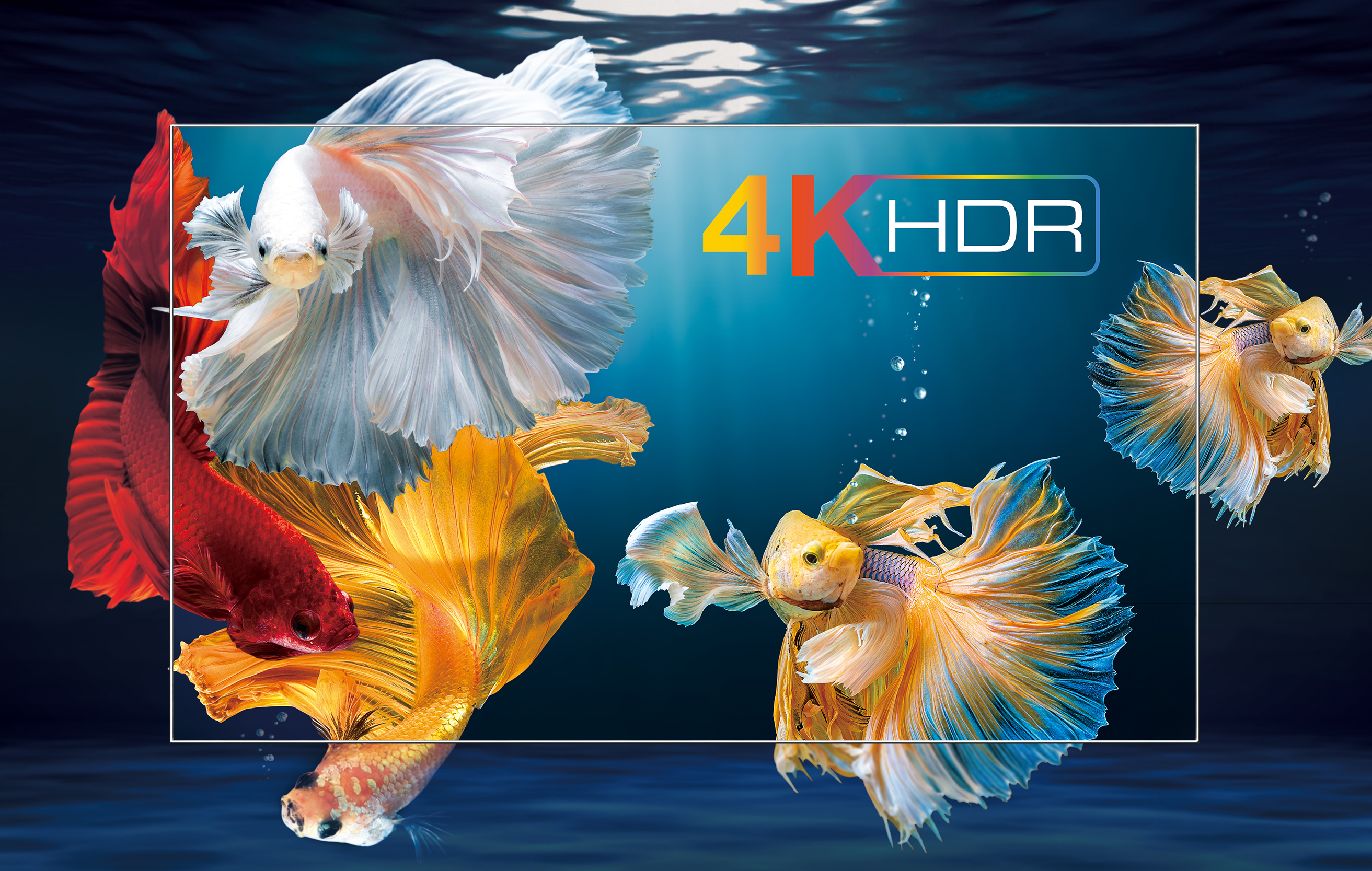4K HDR: parempi kontrasti, värit ja tarkkuus TCL-television ruudulla näkyviä kultakaloja.