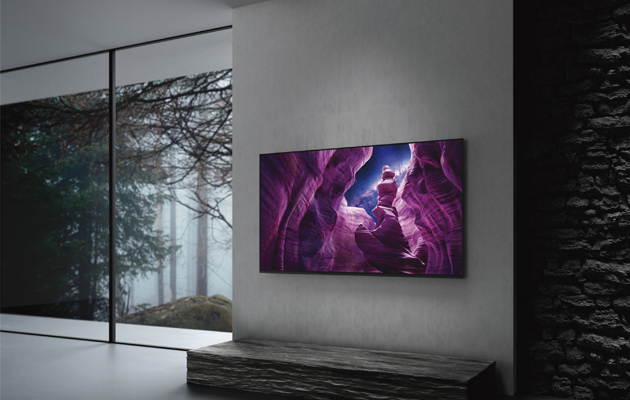 Телевизор Sony Kd 65a8 Купить Интернет Магазин