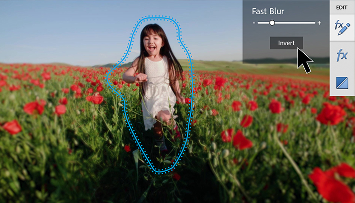 Valitse videosta tietty kohde tai alue Adobe Premiere Elements 2021.