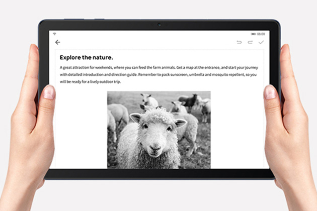 Suojaa silmiäsi Kädet pitämässä MatePad T10s -tablettia, taustalla lampaita