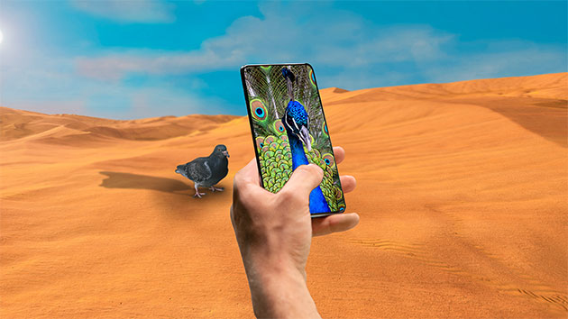 OnePlus Nord 2 kuvaamassa perhosta.