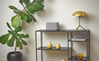 Harman Kardon Citation 300 kaiutin (harmaa)