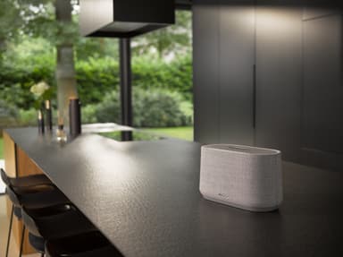 Harman Kardon Citation 300 kaiutin (harmaa)