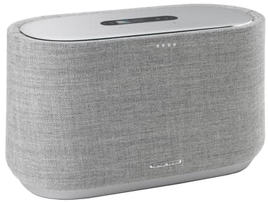 Harman Kardon Citation 300 kaiutin (harmaa)
