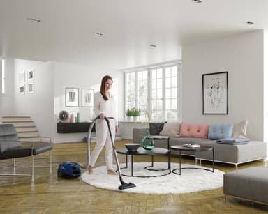 Electrolux PowerForce pölynimuri EPF6TURBO