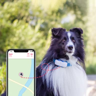  Tractive DOG LTE koiran GPS-paikannin (valkoinen)