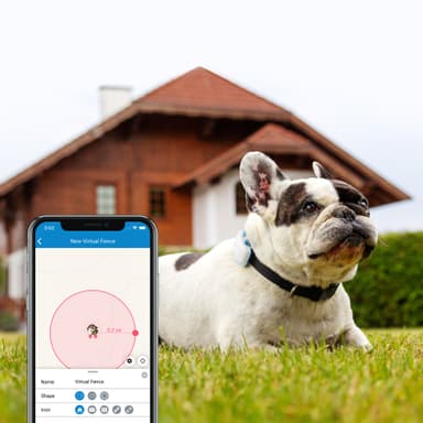  Tractive DOG LTE koiran GPS-paikannin (valkoinen)