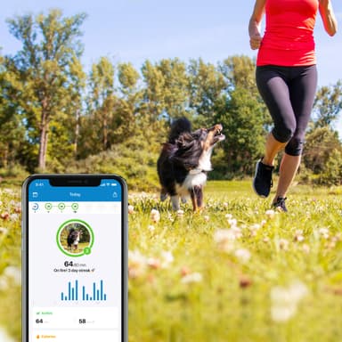  Tractive DOG LTE koiran GPS-paikannin (valkoinen)