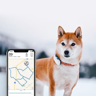  Tractive DOG LTE koiran GPS-paikannin (valkoinen)