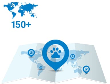  Tractive DOG LTE koiran GPS-paikannin (valkoinen)