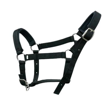 INF Riimu hevoselle Nylon Koko M Musta