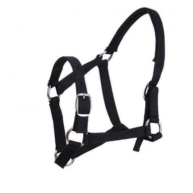 INF Riimu hevoselle Nylon Koko S Musta