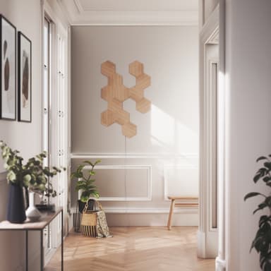 Nanoleaf Elements Hexagons pakkaus NL52-K-3002HB-13PK