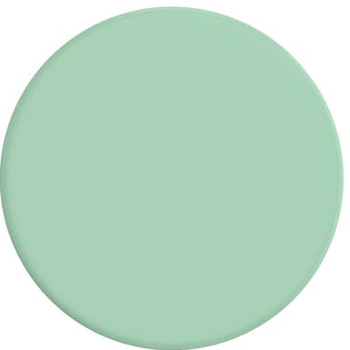 POPSOCKETS PopGrip Basic älypuhelimen pidike (minttu)