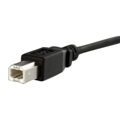 StarTech.com USBPNLBFBM3, 0,91 m, USB B, USB B, USB 2.0, 480 Mbit/s, Musta