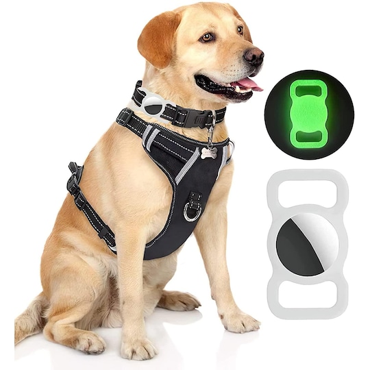 Apple AirTag -pidike kissan / koiran kaulapannalle - Valot pimeässä / vihreässä