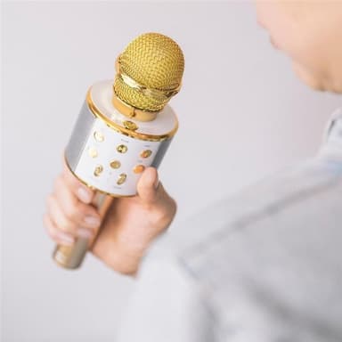 Forever BMS-300 Mikrofoni Bluetooth-kaiuttimella, Kulta