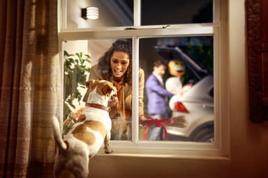 Philips Hue Lucca seinälyhty antrasiitti