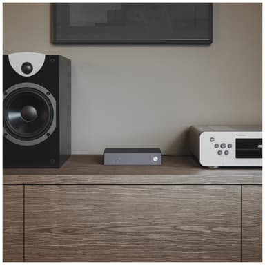 Audio Pro Link 2 monihuonekaiutin