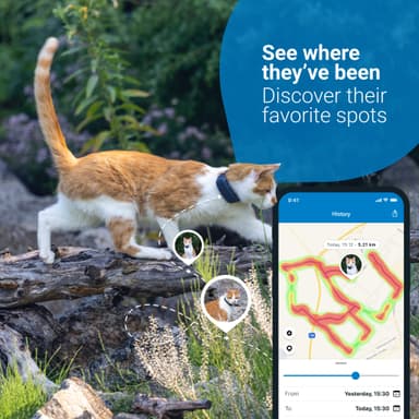Tractive GPS CAT LTE paikannin kissalle (sininen)