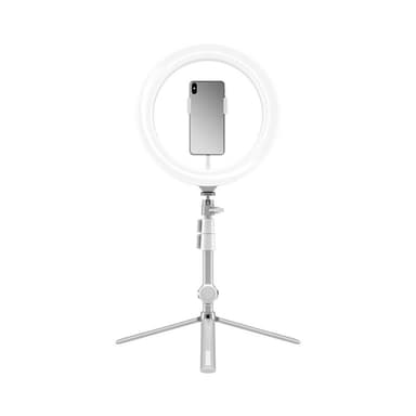 LED-Belysning Ring Light 10"" 