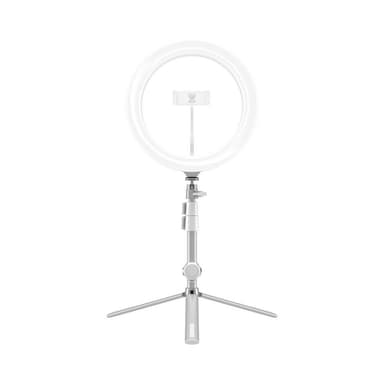 LED-Belysning Ring Light 10"" 
