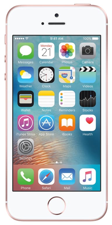 iPhone SE 16 GB (ruusukulta)