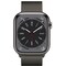 Apple Watch Series 8 45mm Cellular (graf. ruo. ter. / graf. Milanese)