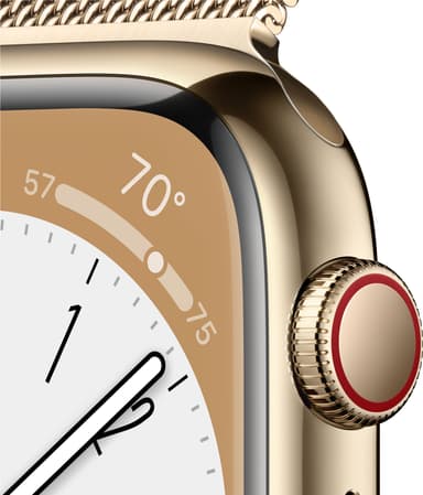 Apple Watch Series 8 45mm Cellular (kul. ruost. teräs / kul. Milanese)