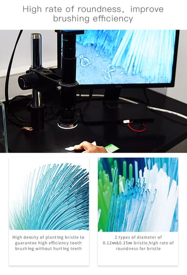 Vaihtohammasharjan päät 4 kpl Monivärinen Philips BL552