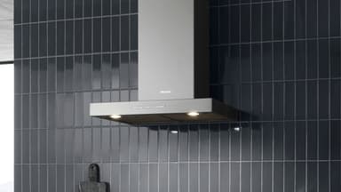 Miele Liesituuletin PUR 68 W (teraes)