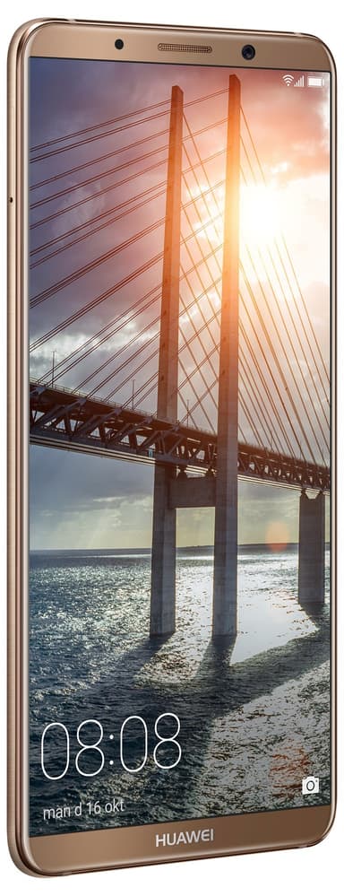 Huawei Mate 10 Pro älypuhelin (mokkakulta)