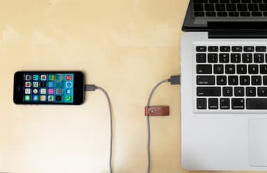 Native Union Belt USB-A - Lightning kaapeli (seepra)