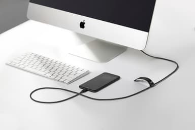 Native Union Belt USB-C - Lightning kaapeli (seepra)
