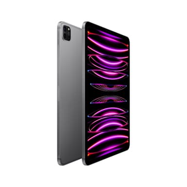 iPad Pro 11" 2022 1 TB WiFi + Cellular (tähtiharmaa)