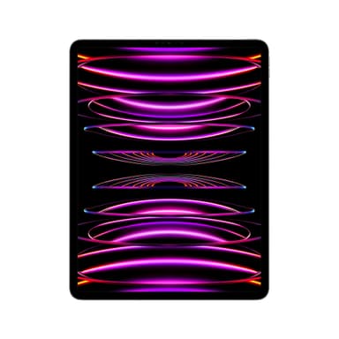 iPad Pro 12,9" 2022 1 TB WiFi + Cellular (tähtiharmaa)