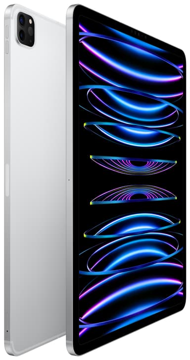 iPad Pro 12,9" 2022 256 GB WiFi + Cellular (hopea)