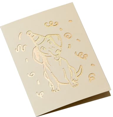 Cricut Cut-Away kortit R40 (neutraali)