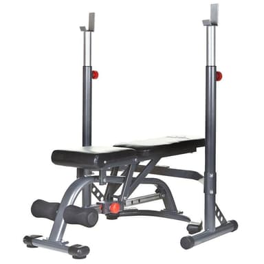 Bodymax cf328 online