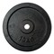 FitNord Weight Plate Iron, Levypainot Rauta 10 kg