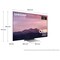 Samsung 55   S95B 4K OLED älytelevisio (2022)